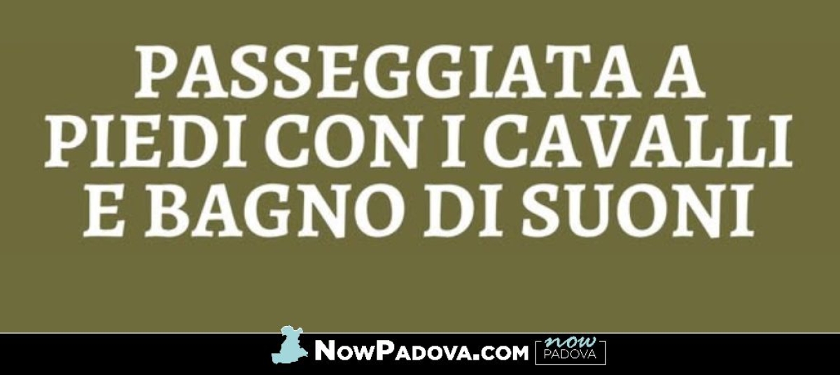 passeggiata-cavalli-borgo-veneto
