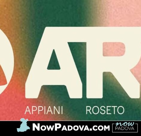 festival-art