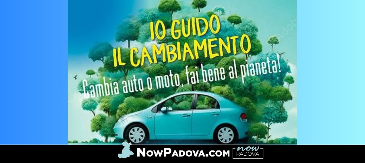 bando-auto