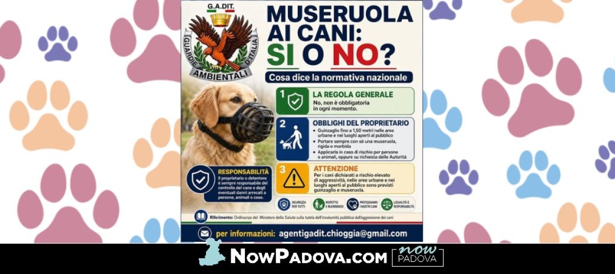 museruola