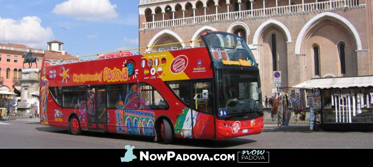 bus-panoramico