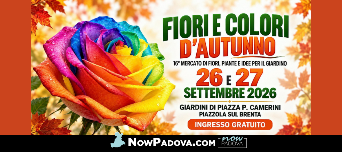 fiori-piazzola