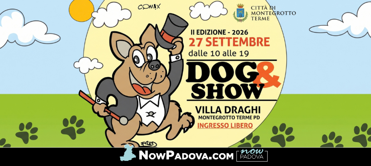 dog-and-show