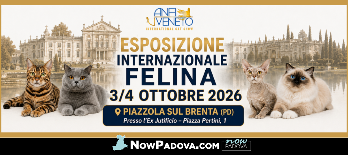 esposizione-felina-piazzola
