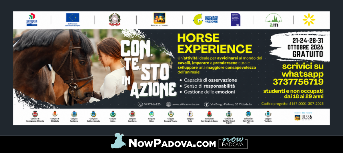 horse-experience
